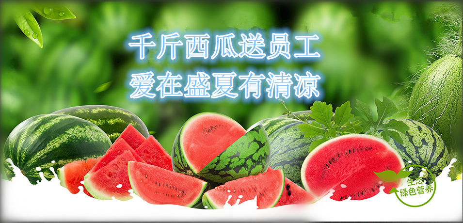 通達軟件公司： 千斤西瓜送員工，愛在盛夏有清涼